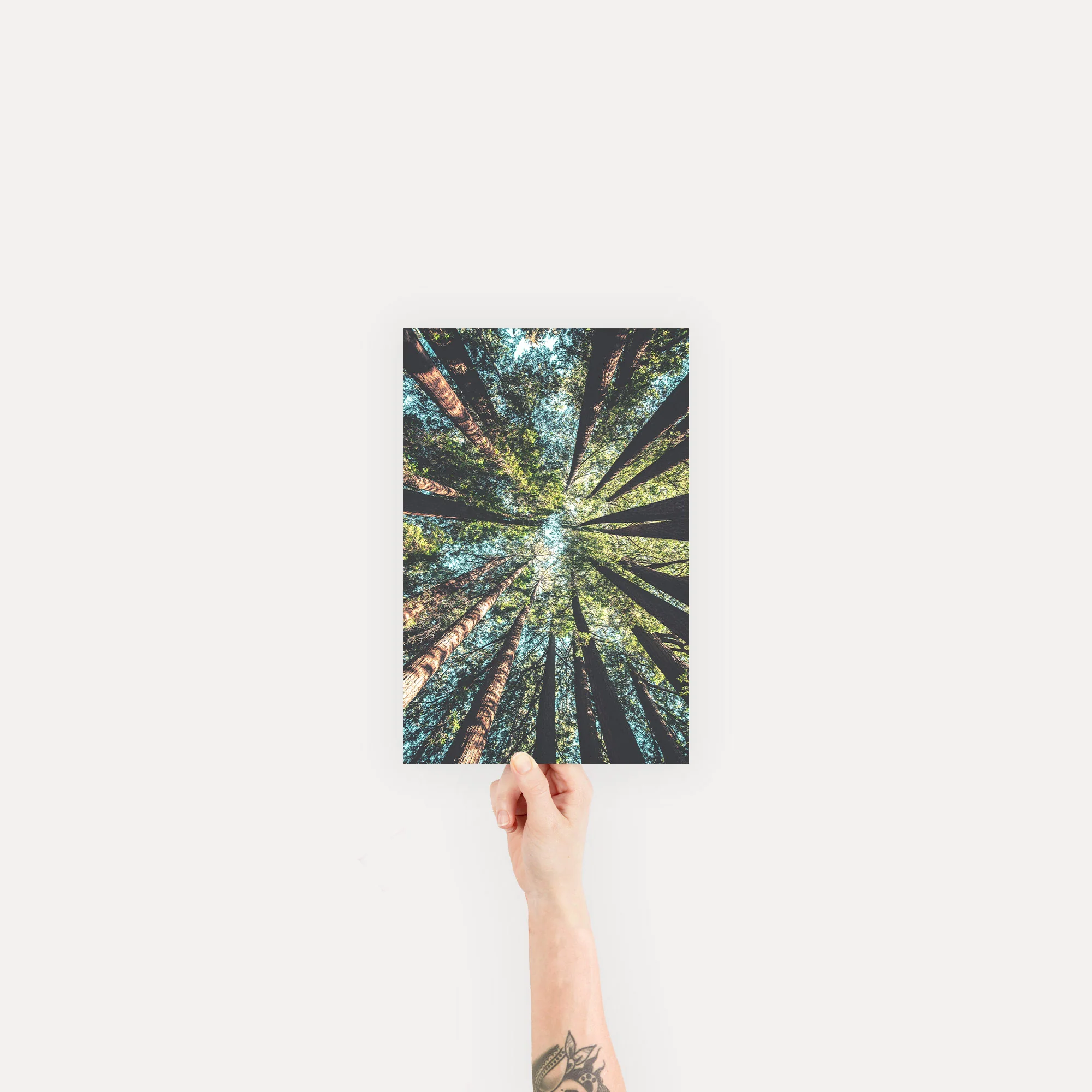 Fine Art Print - Image 11