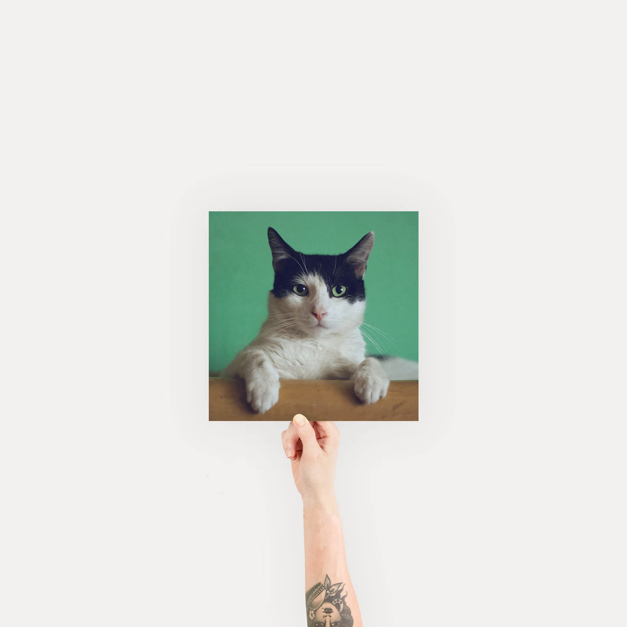Fine Art Print - Image 12