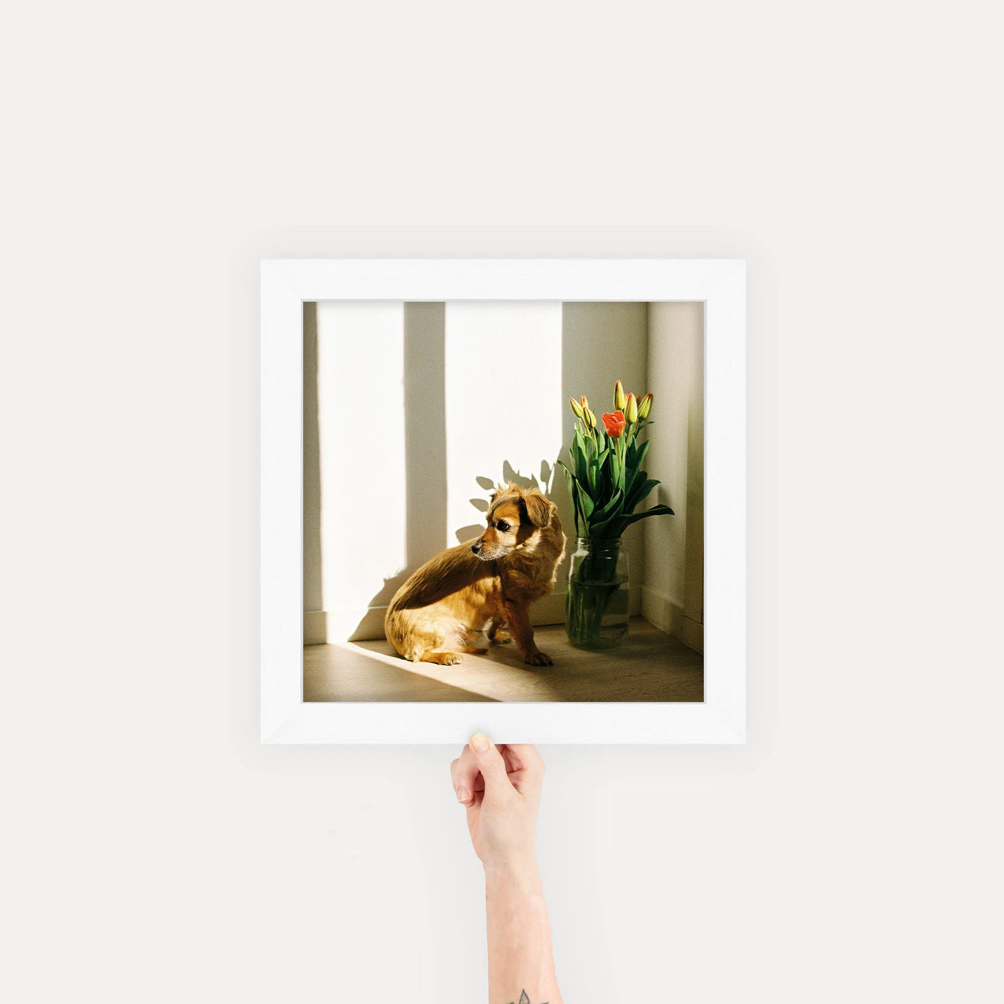 Gallery Frames - Image 45