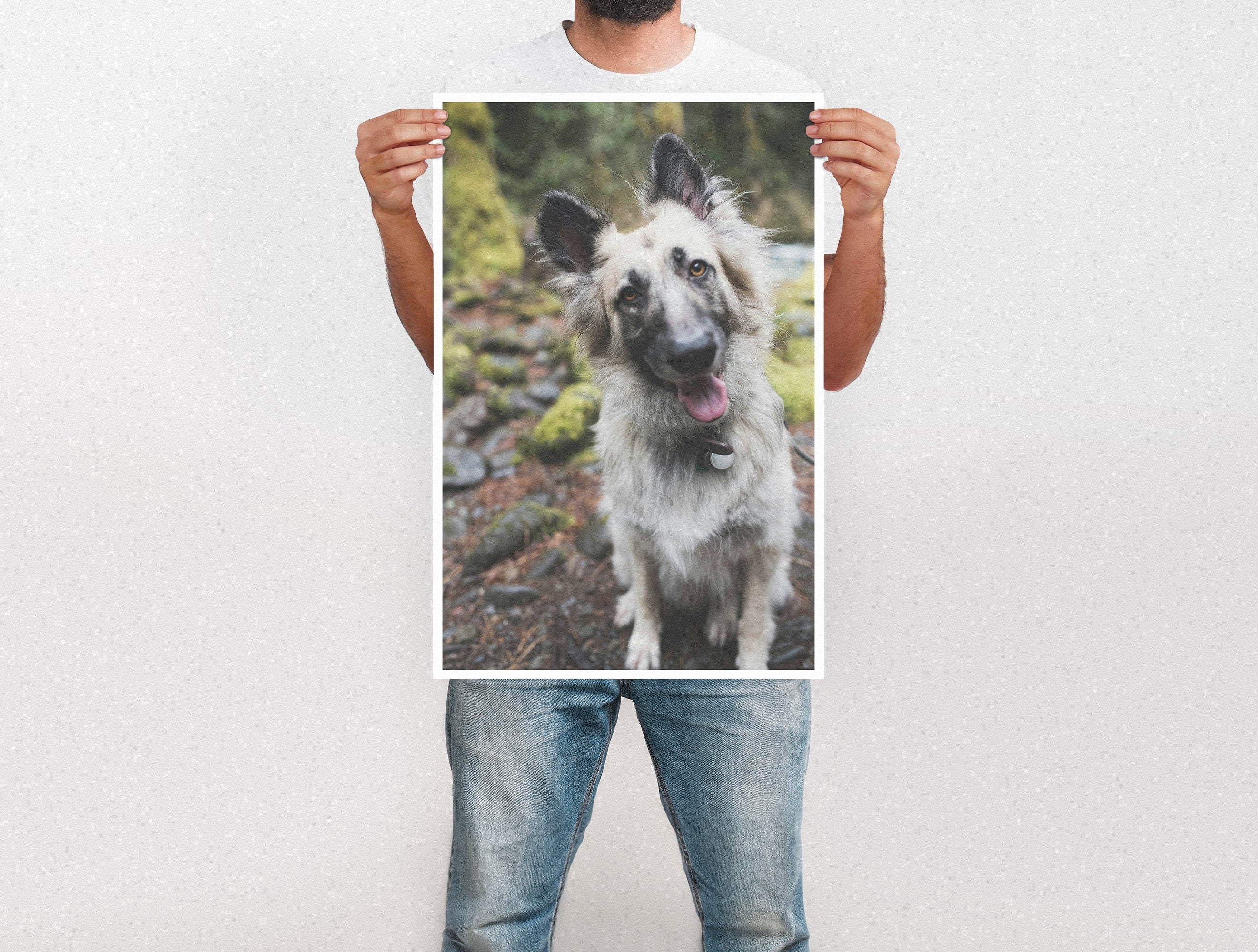 Large Format Prints - Image 35